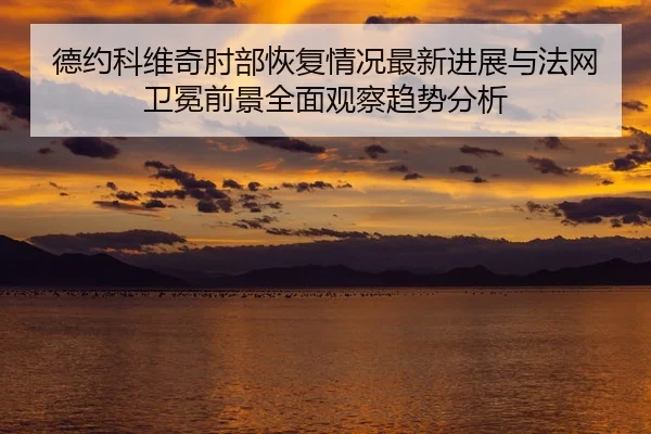 德约科维奇肘部恢复情况最新进展与法网卫冕前景全面观察趋势分析